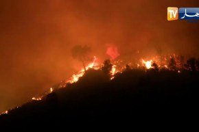 بجاية: نشوب حرائق مهولة بغابة سيدي يوسف وىيث بوجيت بدرقينة