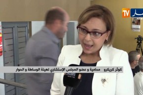 فريال كريكرو: أعضاء المجلس سيرفقون لجان الهيئة كل حسب تخصصه
