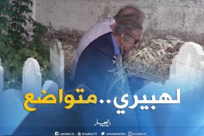 شاهد بساطة لهبيري.. قاعد فوق الحجرة وتحت الشجرة