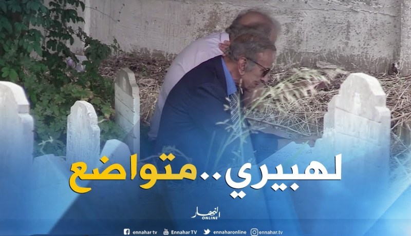 شاهد بساطة لهبيري.. قاعد فوق الحجرة وتحت الشجرة