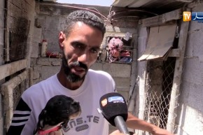 باتنة/ تربية كلاب الصيد..هواية شباب بلدية مروانة