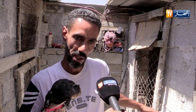 باتنة/ تربية كلاب الصيد..هواية شباب بلدية مروانة