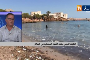 التلوث البيئي يهدد الثروة السمكية في الجزائر