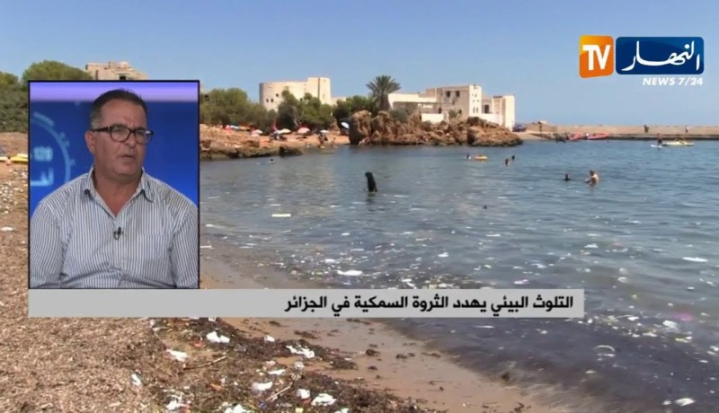 التلوث البيئي يهدد الثروة السمكية في الجزائر