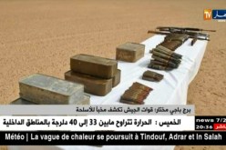برج باجي مختار: قوات الجيش تكشف مخبأ للأسلحة