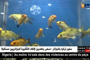 ثقافة: مشتلة الغاردن..مشروع ناجح بأعالي الشراقة