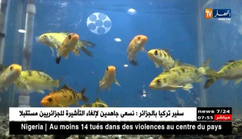 ثقافة: مشتلة الغاردن..مشروع ناجح بأعالي الشراقة