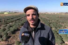 جزائريون/ نباتات نادرة..  طريق عز الدين لدخول عالم الفلاحة