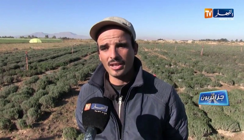 جزائريون/ توأم كفيف يتحدى الإعاقة