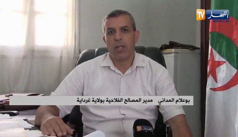 نحو إنتاج أكثر من 700 ألق قنطار من الذرى بغرداية