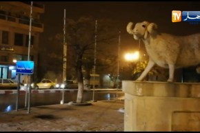 الجلفة: تساقط كثيف للثلوج والأمطار مع موجة البرد القارس