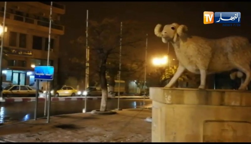 الجلفة: تساقط كثيف للثلوج والأمطار مع موجة البرد القارس