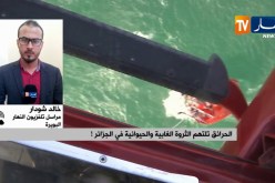 مراسل النهار إلى البويرة: “تم إتلاف أكثر من 5 هكتارات في 24 ساعة ومنطقة الأخضرية هي الأكثر تضررا”