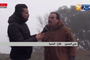 مديرمصالح الغابات بالمدية: عملية البحث متواصلة عن المفقود لليوم الرابع على التوالي رغم صعوبة الرؤية