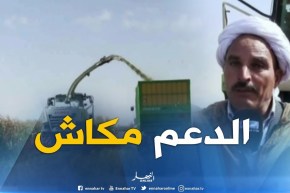 النعامة : إستياء الفلاحين في موسم حصاد الذرة بسبب نقص الدعم