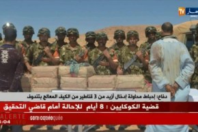 دفاع: إحباط محاولة إدخال أزيد من 3 قناطير من الكيف المعالج بتندوف