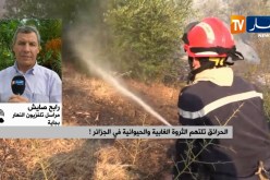مراسل النهار إلى بجاية: “حريق غابة أدكار لم يتم السيطرة..علية وهذا لصعوبة الوصول إليها”