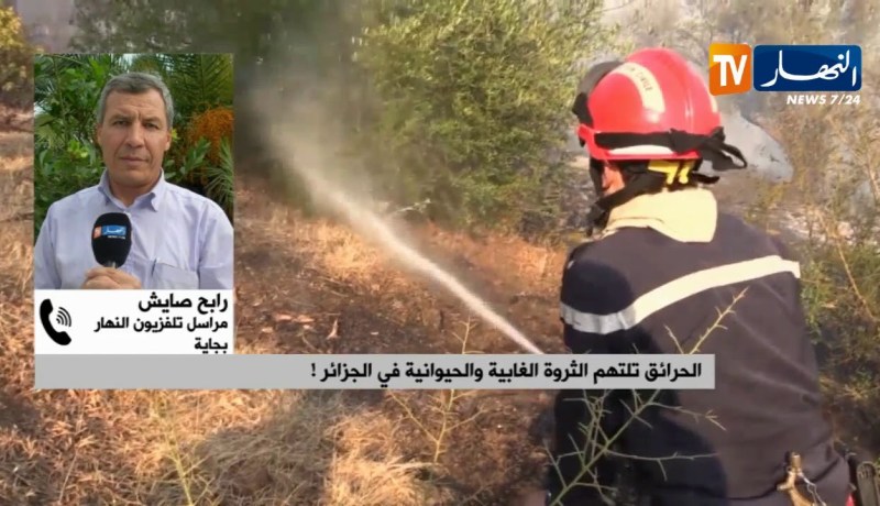 مراسل النهار إلى بجاية: “حريق غابة أدكار لم يتم السيطرة..علية وهذا لصعوبة الوصول إليها”