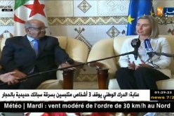 دبلوماسية: “موغيريني” في الجزائر.. والملفات الأمنية في مستهل أجندتها