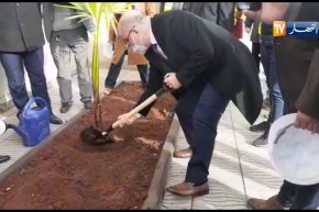 بلمهدي يغرس شجرة أمام المقر الجديد لوزارة الشؤون الدينية