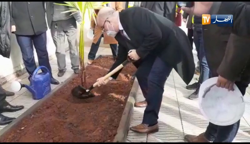 بلمهدي يغرس شجرة أمام المقر الجديد لوزارة الشؤون الدينية