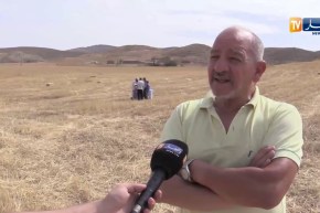 تيسمسيلت/ حصاد..في موسم الحرث والبذر