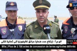 الجلفة: حملة توعوية  مشتركة لمستعملي الطريق للحد من إرهاب الطرقات