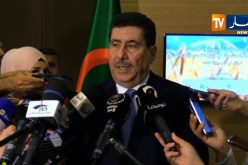 وزير الفلاحة: لدينا منتوج وفير من الحبوب والشعير