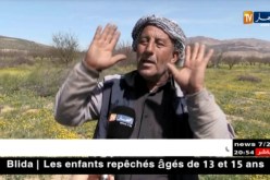 باتنة: 12 ألف شجرة مشمش مهددة بالتلف جراء الجفاف برأس العيون