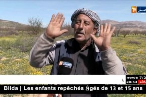 باتنة: 12 ألف شجرة مشمش مهددة بالتلف جراء الجفاف برأس العيون