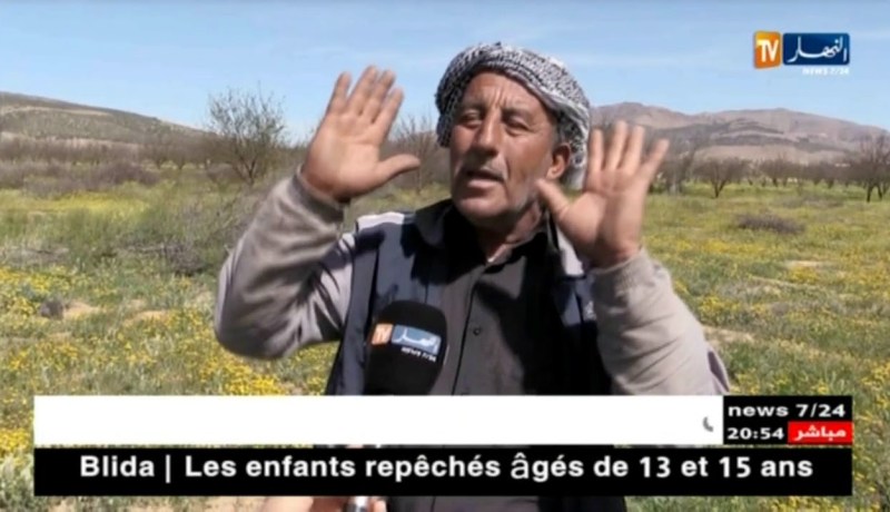 باتنة: 12 ألف شجرة مشمش مهددة بالتلف جراء الجفاف برأس العيون