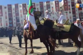 البليدة: شاهد لحظة سقوط الفارس من حصانه أثناء إستقبال “بن غبريت”
