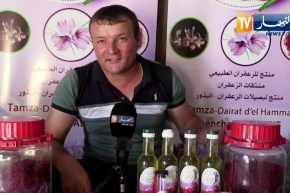 خنشلة: الزعفران..  الذهب الأحمر تجربة ناجحة بجنوب الأوراس