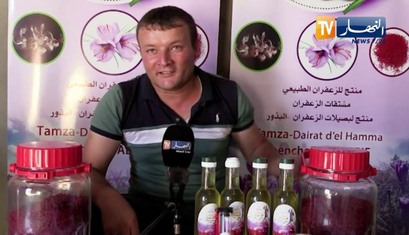 خنشلة: الزعفران..  الذهب الأحمر تجربة ناجحة بجنوب الأوراس