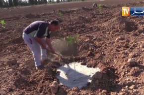 فلاحة: بيان جديد لإتحاد نقابة الفلاحين والموالين الأحرار