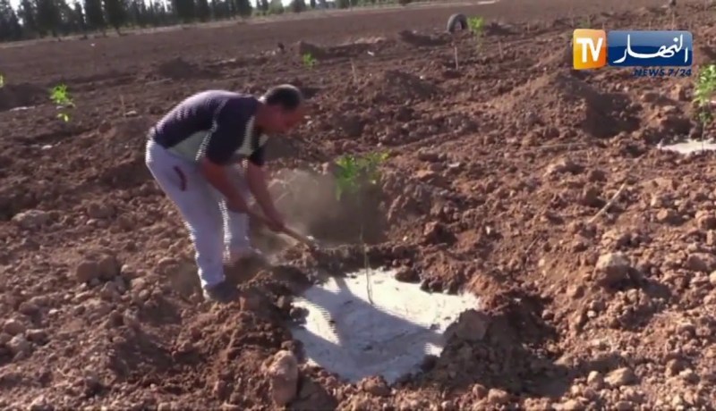 فلاحة: بيان جديد لإتحاد نقابة الفلاحين والموالين الأحرار