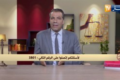 رأي القانون: أنا ضحية سرقت السيارة وأريد أن أعرف الإجراءات القانونية بعد الشكوى.. المحامي كورتل يجيب