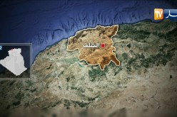 الشلف: القبض على 8 أشخاص في شاطئ تنس بصدد التحضير للهجرة غير الشرعية