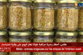 الطارف: إحتضان فعاليات الطبعة الخامسة لعيد العسل