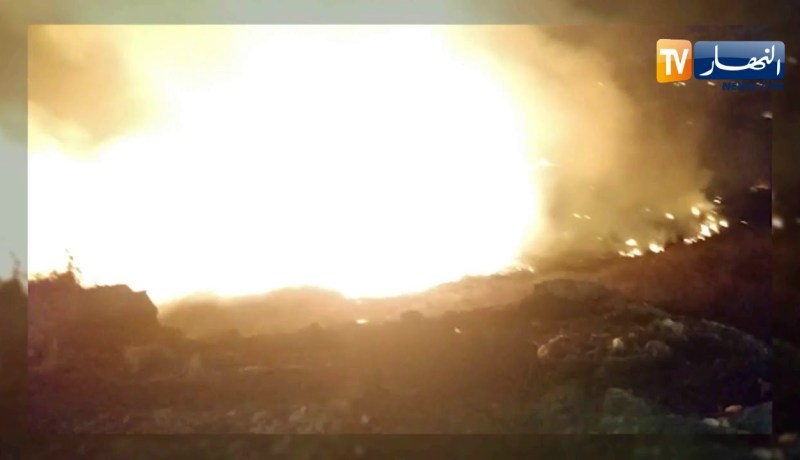 مصالح الحماية المدنية تخمد الحريق المهول الذي إندلع بغابة “دنيا بارك”