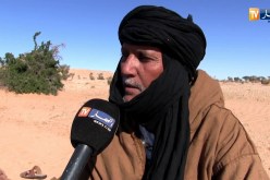 تندوف: البواهة..وقصة البحث عن مراعي الماشية