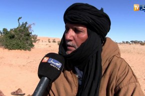 تندوف: البواهة..وقصة البحث عن مراعي الماشية