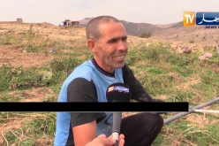 باتنة: عيسى بن سالم .. قصة فلاح لم تمنعه حادثة بتر ذراعه من خدمة الأرض