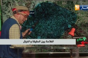 الشيخ النوي: الفلاحة بين الواقع والخيال.. جماعة الفلاحة لولاية معسكر هابطين