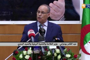 بوعزغي: “الجزائر أصبحت رائدة في المجال الفلاحي على المستوى الإفريقي والعربي”