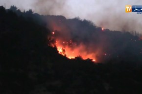 باتنة : حريق مهول يأتي على عشرات الهكتارات من الثروة الغابية بجبل الرفاعة