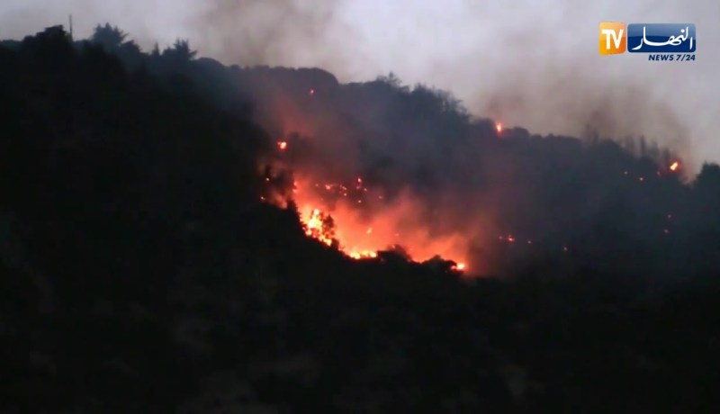 باتنة : حريق مهول يأتي على عشرات الهكتارات من الثروة الغابية بجبل الرفاعة