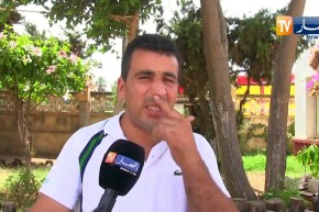 جيجل: من أصناف “قواقع” البحر إلى تحف فنية غاية في الجمال