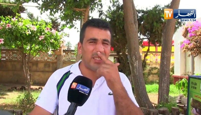 جيجل: من أصناف “قواقع” البحر إلى تحف فنية غاية في الجمال