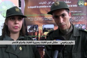 إدارة الغابات: الحرائق.. تستنفر حراس الغابات